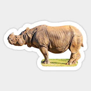 Outstanding Greater one horned rhino Sticker